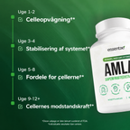 Tidslinje med tekst og en Essentae Amla-flaske.