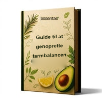 Forside til guiden om at genoprette tarmbalancen.