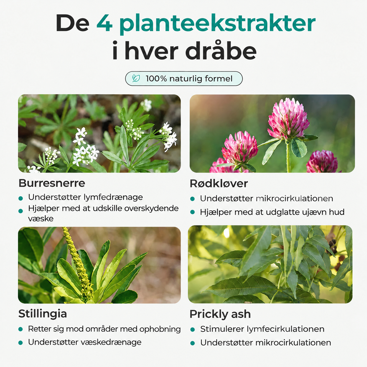 Fire planter med ingrediensnavne og korte beskrivelser.