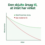 Diagram med tekst om Essentae Amla.