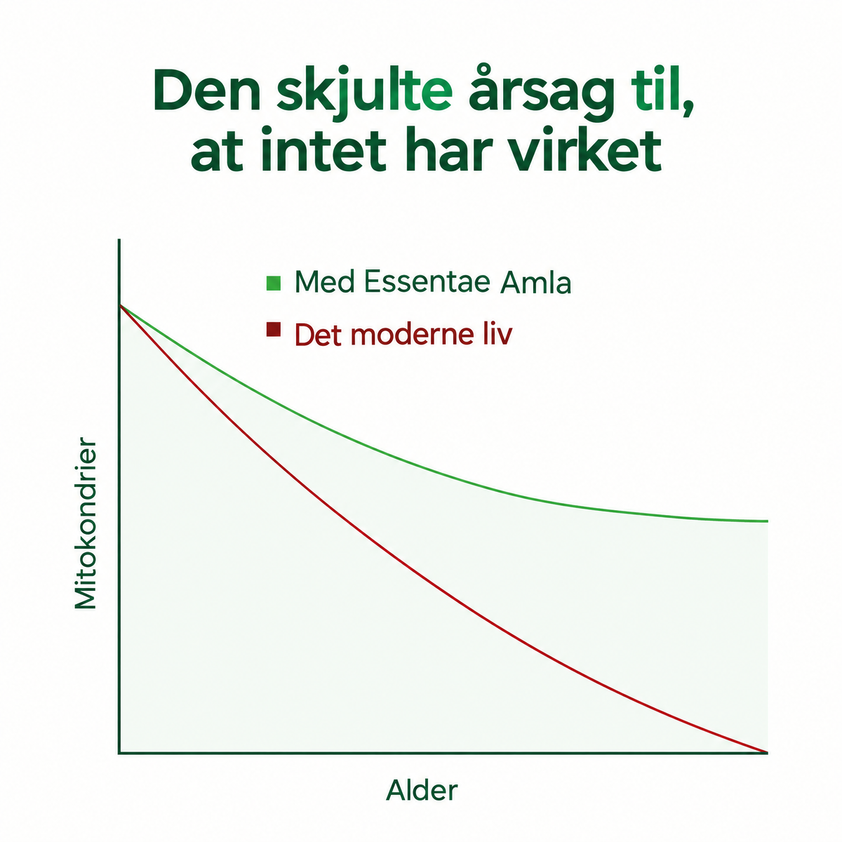 Diagram med tekst om Essentae Amla.